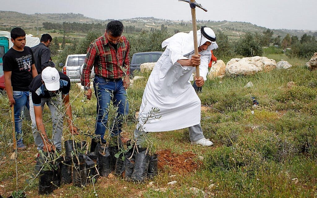À titre d'illustration : des officiels palestiniens accompagnés de militants pacifistes israéliens et Internationaux plantent des arbres près de Beit Al Baraka en signe de protestation contre l'accaparement de terres par des résidents d'implantations israéliens, le 9 avril 2016. (Crédit : Wisam Hashlamoun/Flash90)