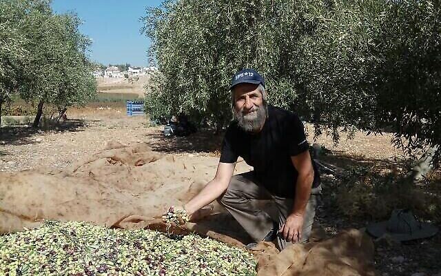 David Kishik-Cohen dans son oliveraie à l'extérieur de l'implantation de Kochav Hashahar. (via WhatsApp)
