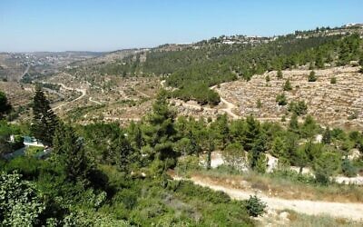 Reches Lavan, ou Crête blanche, à l'ouest de Jérusalem. (Crédit : Dov Greenblat, Society for the Protection of Nature in Israel)