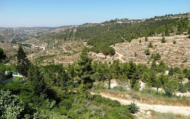 Reches Lavan, ou Crête blanche, à l'ouest de Jérusalem. (Crédit : Dov Greenblat, Société pour la protection de la nature en Israël)