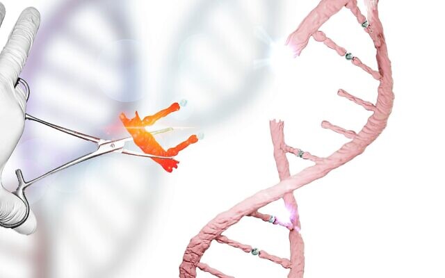 Une photo d'illustration de la modification de l'ADN (Crédit : CIPhotos; iStock by Getty Images)