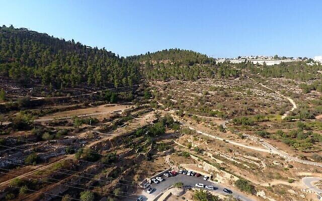 La crête de Lavan, prévue pour les constructions résidentielles et commerciales, est un lieu d'habitation des gazelles des montagnes (Crédit : Dov Greenblat, Société pour la protection de la nature en Israël)
