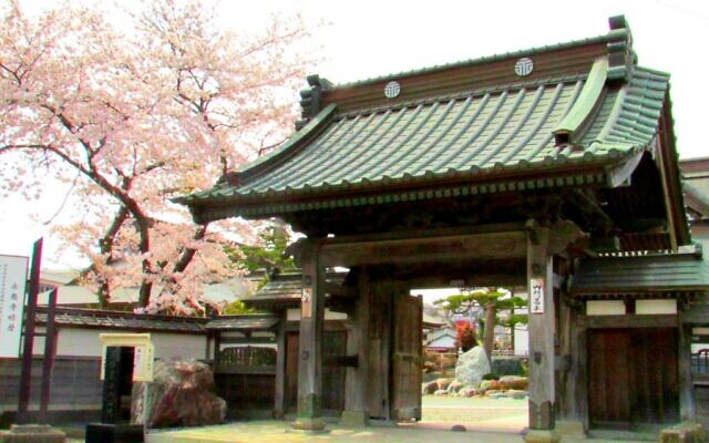 Un temple japonais traditionnel et son cerisier à Ishinomaki. (Crédit : Debra Kamin / Times of Israël)