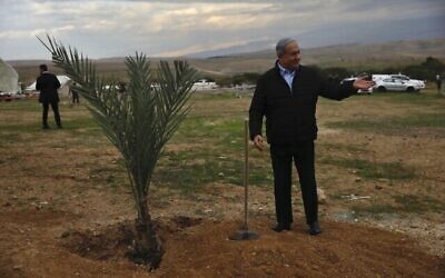 Le Premier ministre Benjamin Netanyahu se prépare à planter un arbre lors d'un événement organisé à l'occasion de la fête juive de Tu BeShvat, dans l'implantation juive de Mevoot Yericho, en Cisjordanie, près de la ville de Jéricho, le 10 février 2020. (Crédit : AP/Ariel Schalit)