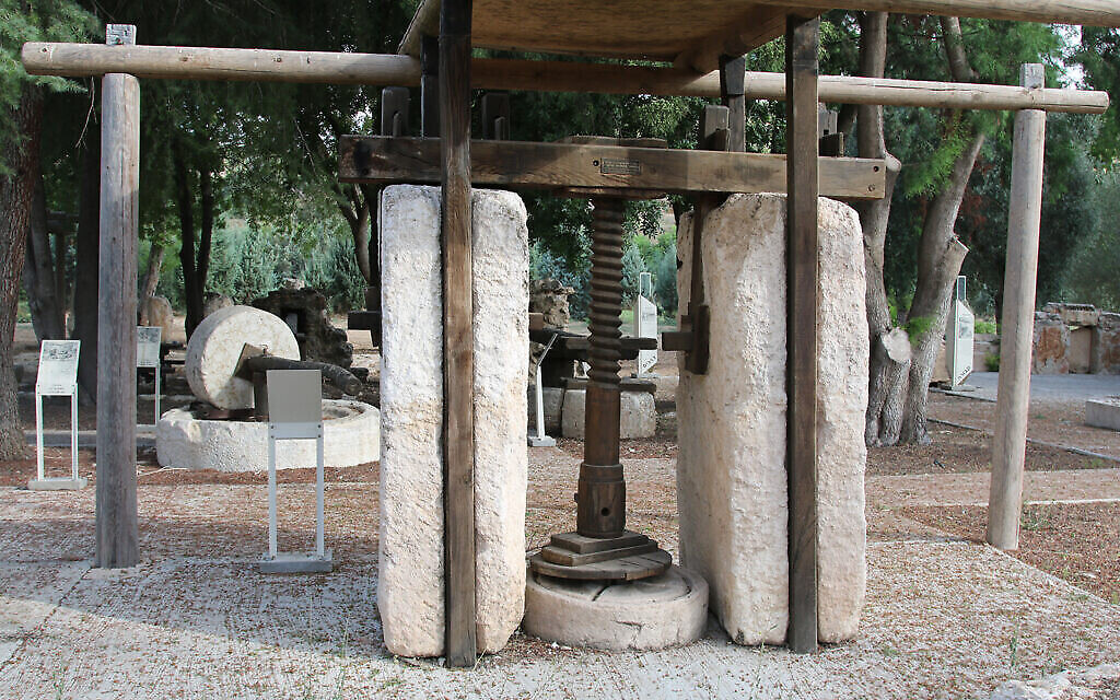 Un ancien pressoir dans le jardin archéologique Givat Yeshayahu, situé dans une forêt du centre d'Israël. (Shmuel Bar-Am)
