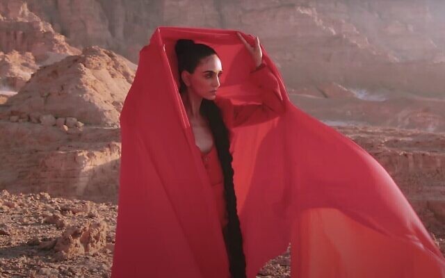 Capture d'écran de la vidéo de la chanteuse israélienne Liraz Charhi. (YouTube)