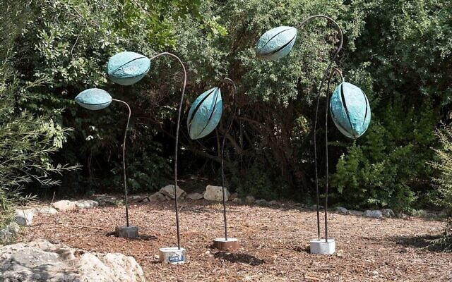 Une sculpture de l'artiste Sigalit Landau présentée dans l'exposition "Retour à la nature" visible dans les Jardins botaniques de Jérusalem jusqu'à la fin novembre 2020. (Autorisation : Jardins botaniques de Jérusalem)