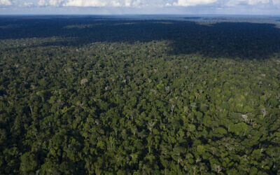Une photo aérienne prise le 22 novembre 2019 montre des arbres dans la réserve de Renascer, dans la forêt amazonienne de Prainha, dans l'État de Para, au Brésil. (AP Photo/Leo Correa)