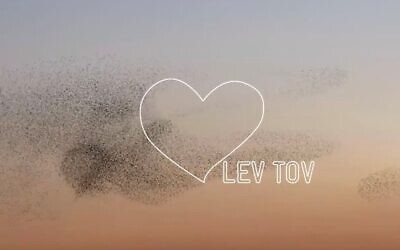 Lev Tov