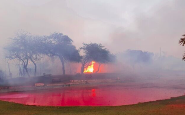 Un incendie de forêt déclenché par une roquette tirée de Gaza fait rage dans le parc national de Nahal HaBesor, dans le sud d'Israël, le 20 mai 2021. (Crédit : autorisation)