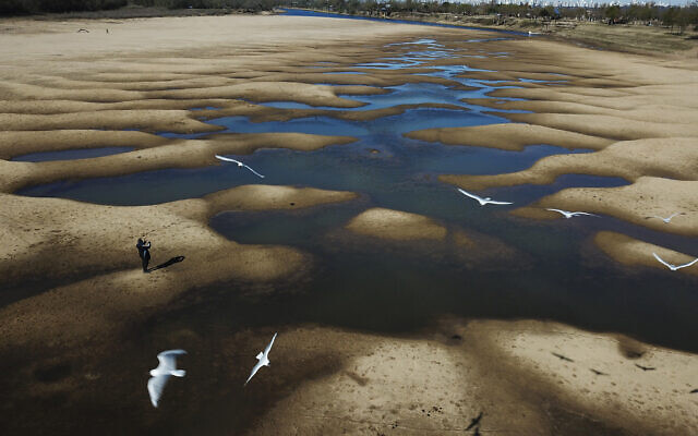Des oiseaux survolent la rivière Old Parana, lors d'une sécheresse à Rosario, en Argentine, le 29 juillet 2021. (Crédit : AP Photo/Victor Caivano, File)