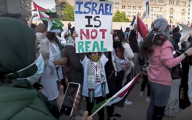 Un garçon tient une pancarte sur laquelle on peut lire "Israël n'est pas réel" lors d'un rassemblement anti-Israël organisé suite à l'opération israélienne "Gardiens des murs", au square Nathan Phillips, dans le centre-ville de Toronto, le 15 mai 2021. (Crédit : capture d'écran YouTube)