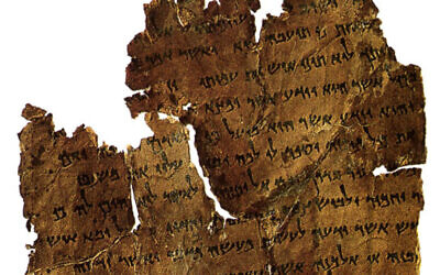 Le rouleau du document de Damas découvert dans la grotte 4 de Qumran.