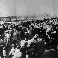Un train de victimes destinées au camp de concentration d'Auschwitz, alignées dans la gare à leur arrivée à Auschwitz. Une photo prise par les nazis au début de la Seconde Guerre mondiale. (Crédit : PHOTO AP/FILE)