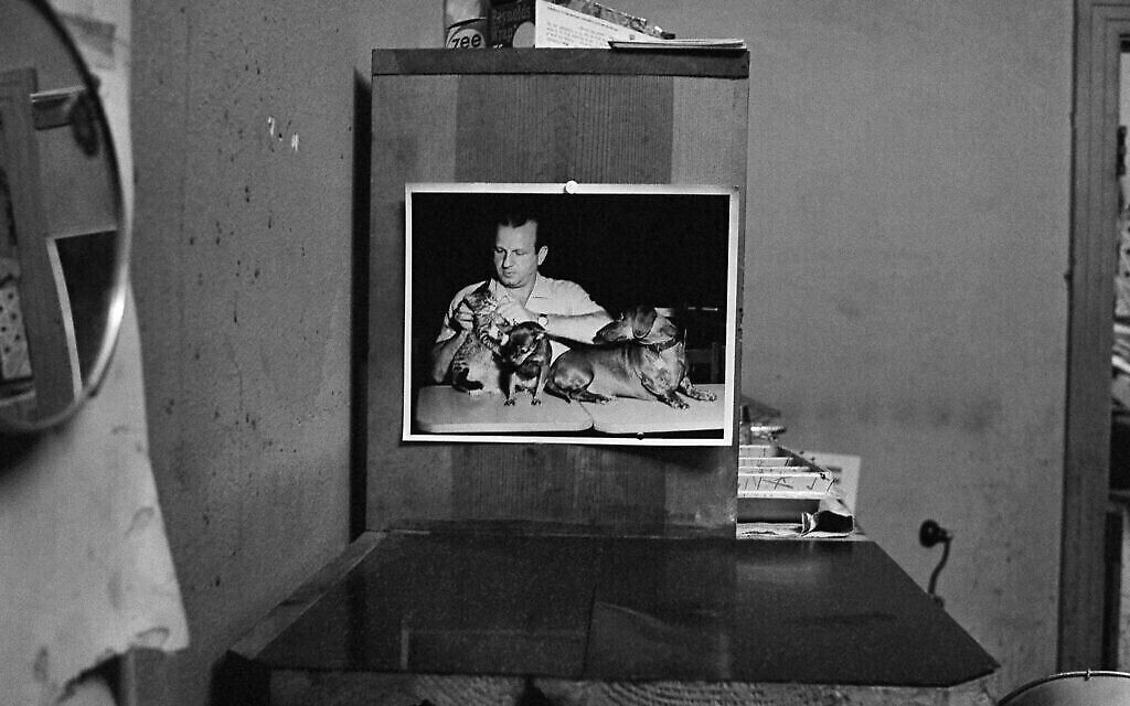 Une photo affichée au Carousel Club de Dallas, au Texas, en novembre 1963, montre le propriétaire Jack Ruby avec ses chiens. (AP Photo)