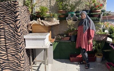 Zahia Abu-Armeilah avec sa ruche dans le quartier Abu Tor de Jérusalem-Est. (Crédit :  Sue Surkes/Times of Israel)