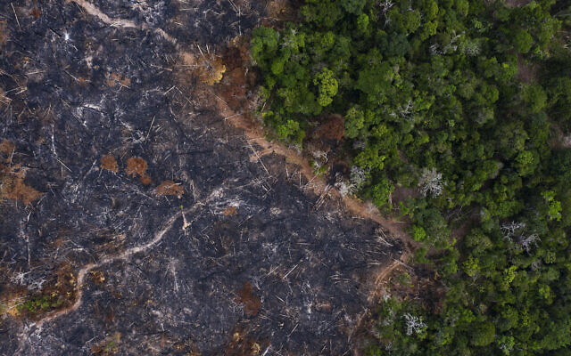Dans cette photo d'archive du 23 novembre 2019, une zone brûlée de la forêt amazonienne est vue à Prainha, dans l'État de Para, au Brésil. Au Brésil, certains climatologues soutiennent que la forêt amazonienne atteindra un "point de non-retour" dans les 10 à 15 prochaines années. Si trop de forêt tropicale est endommagée, il y aura moins d'évapotranspiration et donc moins de précipitations, et le biome entamera un processus irréversible de dégradation en savane tropicale, compromettant son rôle de puits de carbone. (Crédit : AP Photo/Leo Correa, dossier)