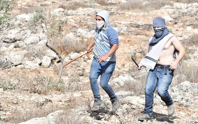 Des hommes masqués, qui auraient été des habitants d'implantations israéliennes, armés de bâtons pendant une attaque contre des Palestiniens qui récoltaient des olives aux abords de Surif, en Cisjordanie, le 12 novembre 2021. (Crédit : Shai Kendler)
