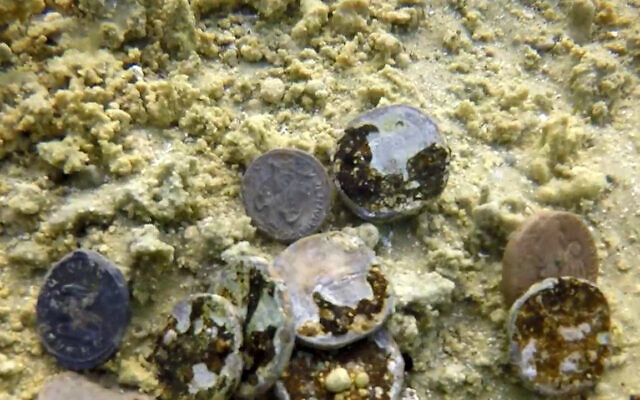 Des centaines de pièces anciennes découvertes dans la mer, au large de Césarée. (Crédit : Autorité israélienne des antiquités)