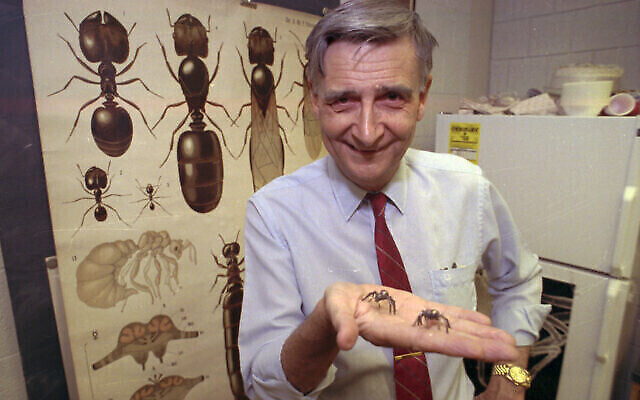 Edward O. Wilson, co-auteur du livre « Les fourmis », qui a remporté le prix Pulitzer de non-fiction, le 10 juin 1991. (Crédit : AP Photo/File)