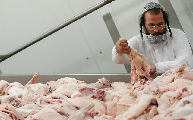 Un rabbin vérifie la qualité de la viande de volaille dans un abattoir casher à Csengele, en Hongrie, le 15 janvier 2021. (Crédit : AP Photo/Laszlo Balogh).