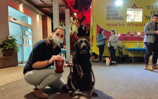 Une femme et son chien, après avoir tous deux donné leur sang, lors d'une journée de don humain et canin. (Crédit : Moran Baranes)