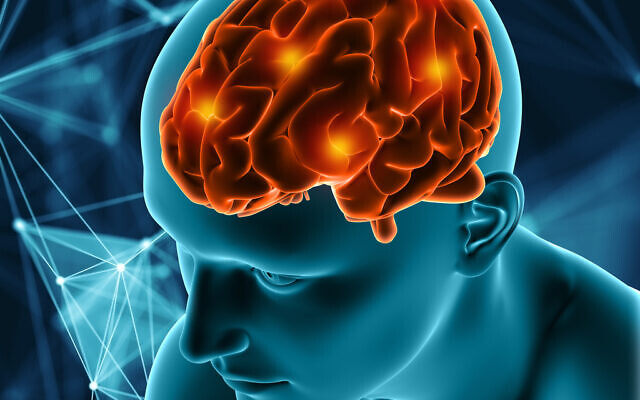 Illustration : Un rendu 3D d'un visage masculin avec le cerveau en surbrillance. (Crédit : kirstypargeter via iStock by Getty Images)