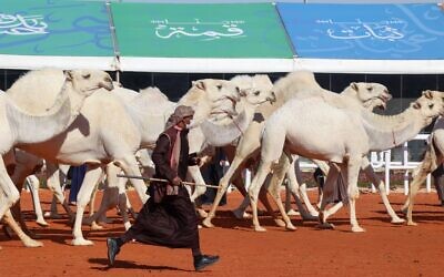 Des chameliers saoudiens présentent leurs chameaux lors d'un défilé pendant la sixième édition du King Abdulaziz Camel Festival dans la région de Rumah, à quelque 161 km à l'est de la capitale Riyad, le 8 janvier 2022.  (Crédit : Fayez Nureldine / AFP)(Photo de Fayez Nureldine / AFP)
