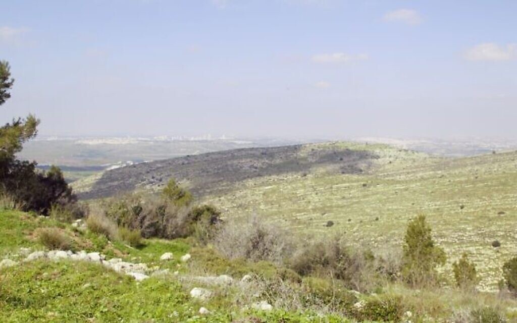 Une vue depuis les ruines d'une ancienne forteresse hasmonéenne dans la forêt de Neve Ilan. (Crédit : Shmuel Bar-Am)