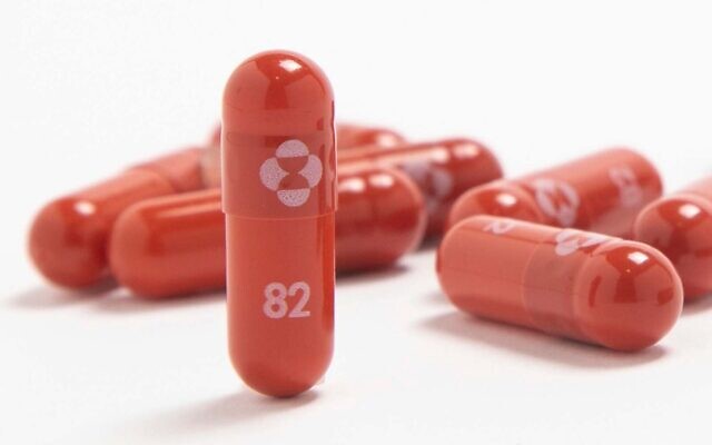 Le nouveau médicament antiviral de Merck, le molnupiravir. (Crédit : Merck & Co. via AP, Dossier)