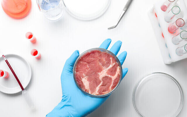 Illustration : Un scientifique tient une boîte de Pétri dans un laboratoire avec un échantillon de viande cultivée. (Liudmila Chernetska/istock via Getty Images)