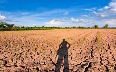 Image d'illustration de la sécheresse et du réchauffement climatique (neenawat ; iStock by Getty Images)