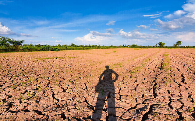Image d'illustration de la sécheresse et du réchauffement climatique (neenawat ; iStock by Getty Images)