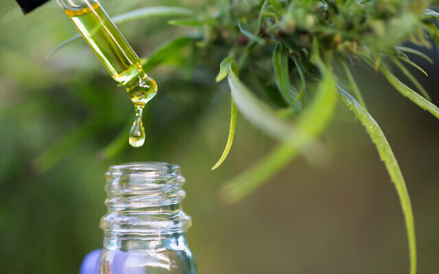 De l'huile de cannabidiol à côté de feuilles de canvre. (Crédit : Tinnakorn Jorruang/iStock by Getty Images)