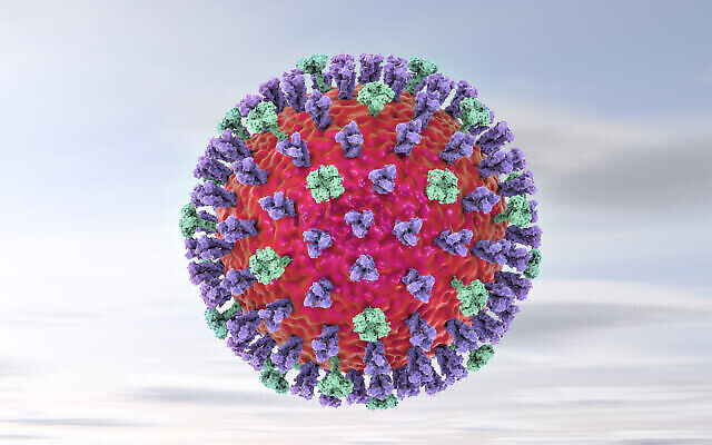 Illustration en 3D du virus de la grippe sur fond coloré. (Crédit : iStock via Getty Images)