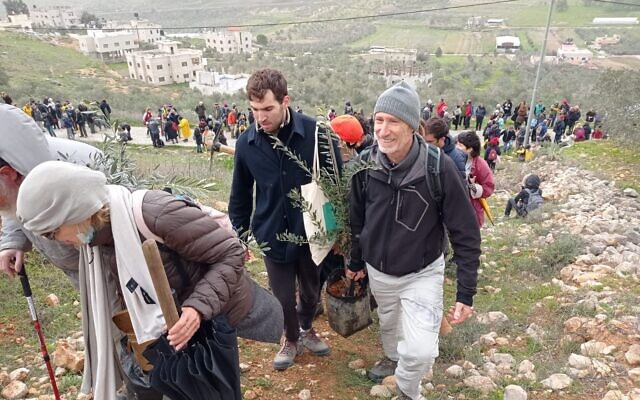 Des centaines d'activistes de gauche israéliens arrivent pour aider des Palestiniens à planter des oliviers près du village de Burin, en Cisjordanie, le 4 février 2022. (Crédit : Hamutal Sadot, Rabbis for Human Rights/Courtesy)