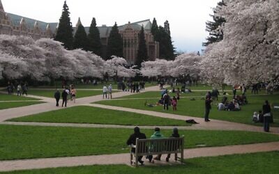 Fleurs de cerisier sur le Quad de l'Université de Washington à Seattle, le 14 mars 2010. (Crédit : Brewbooks via Creative Commons)