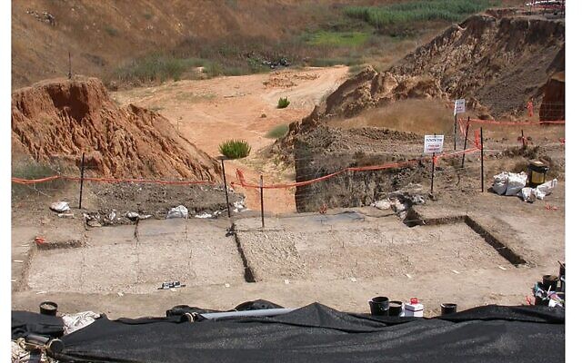 Une photo du site préhistorique de Revadim pendant les fouilles. (Crédit : Université de Tel Aviv)