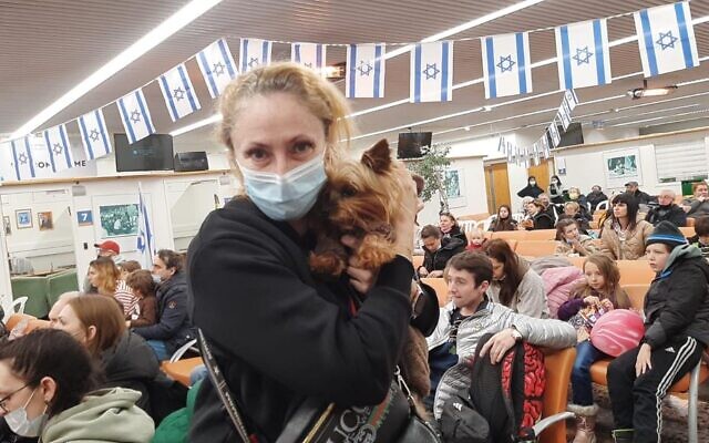 Membres canins de la famille à l'aéroport Ben Gurion, le 22 mars 2022. (Crédit : Liron Cohen Faur, Ministère de l'Intégration)