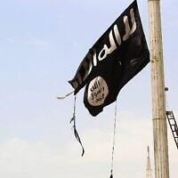 Illustration : Un membre des Forces démocratiques syriennes soutenues par les États-Unis retirant un drapeau de l'État islamique dans la ville de Tabqa, en Syrie. (Crédit : AFP Photo/Delil Souleiman)