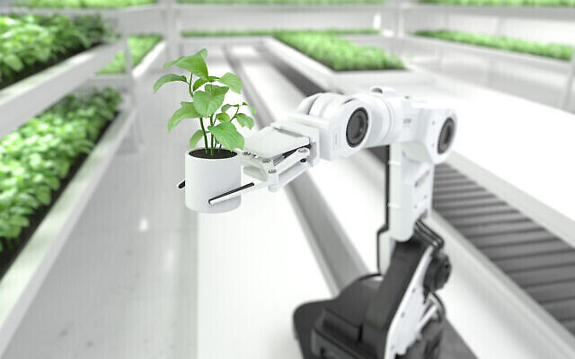 Une image illustrative d’un concept d’agriculture robotique intelligente. (Crédit : sarawuth702 par l'intermédiaire d'iStock by Getty Images)