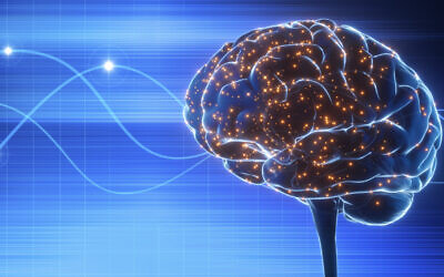 Illustration médicale du cerveau humain avec des ondes et des impulsions électriques (Crédit: iStock via Getty Images)