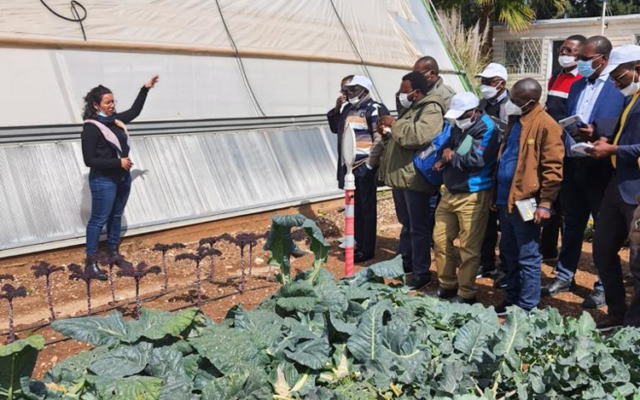 Israël forme 22 responsables du secteur agricole d’Afrique francophone. (Crédit : Mashav)