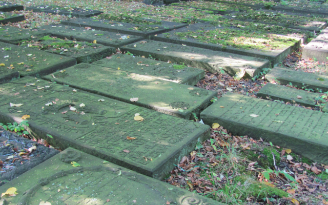 Des pierres tombales de juifs sépharades gisent sur le sol au cimetière d'Altona à Hambourg, en Allemagne, le 9 septembre 2012. (Crédit: Wikimedia Commons)