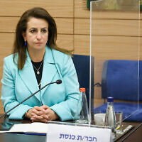 La députée Meretz Ghaida Rinawie Zoabi s'adresse à une commission de la Knesset. (Crédit: Danny Shem Tov/Porte-parole de la Knesset)