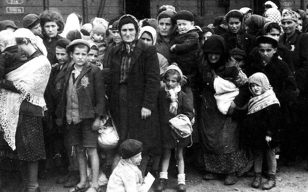 Illustration : Juifs de Hongrie arrivant à Auschwitz en mai 1944, dans le cadre de la série de photographies 'The Auschwitz Album'. La plupart de ces Juifs ont été assassinés le jour-même. (Crédit : Domaine public)