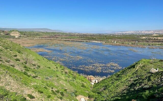 L'ancien étang à poissons de Kfar Ruppin, dans le nord d'Israël, en cours de ré-ensauvagement. (Crédit : Omri salner/Société pour la protection de la nature en Israël)