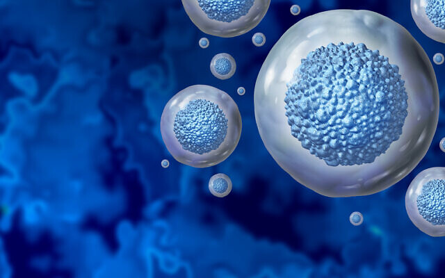 Photo d'illustration : des cellules souches. (Crédit : wildpixel; iStock by Getty Images)