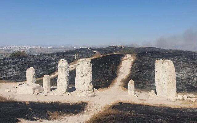 Une image du parc national de Tal Guézer, brûlé par un incendie en date du 4 juillet 2022. (Crédit : Roy Strauss/Nature and Parks Authority)