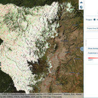 Capture d'écran d'une carte interactive montrant une section d'une forêt en Équateur où le rouge indique un manque de carbone en surface, le vert indique une augmentation et le blanc signifie aucun changement. (Crédit : Autorisation Albo Climate)